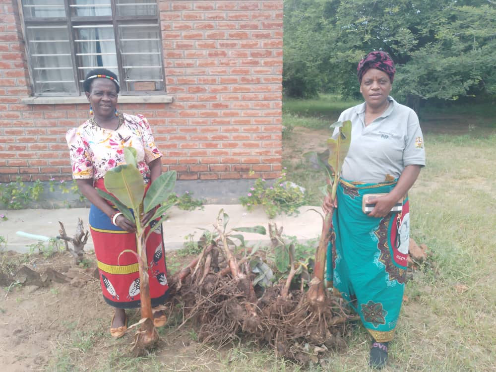 Health & Sanitation