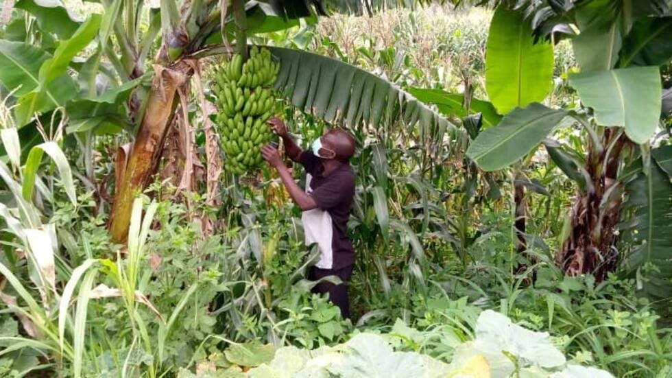 Food Security