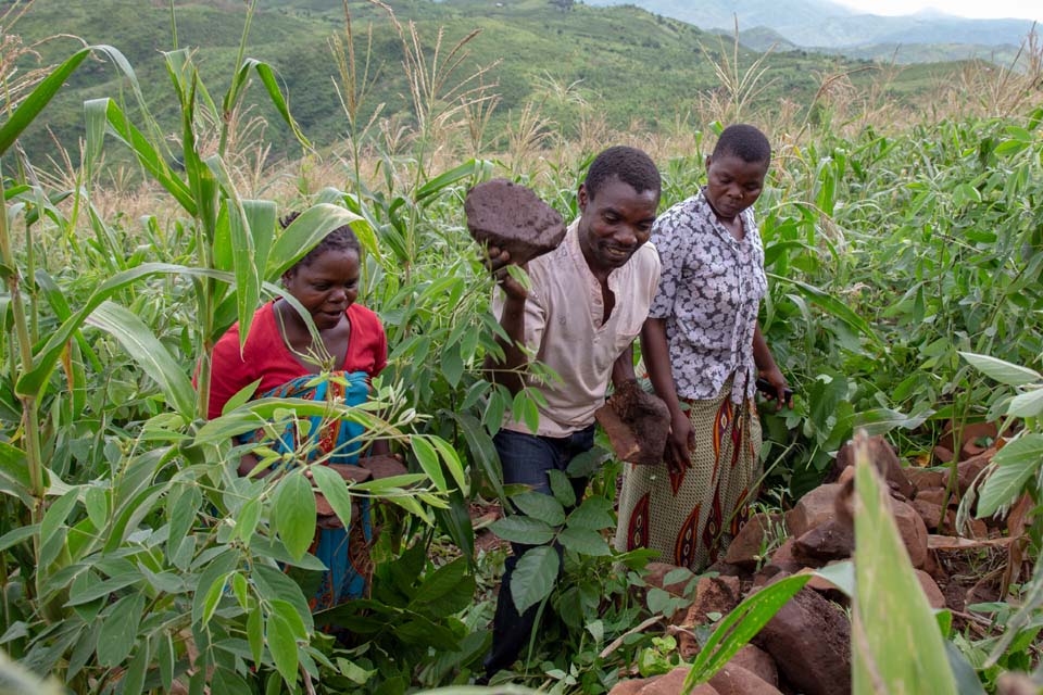 Socio-economic Development